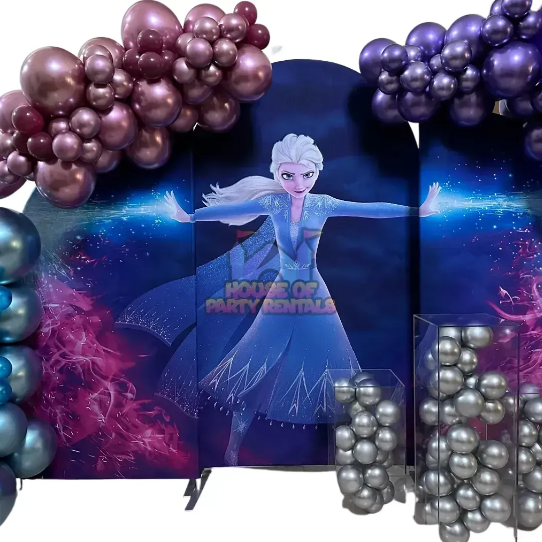 Elsa Birthday Decoration 5